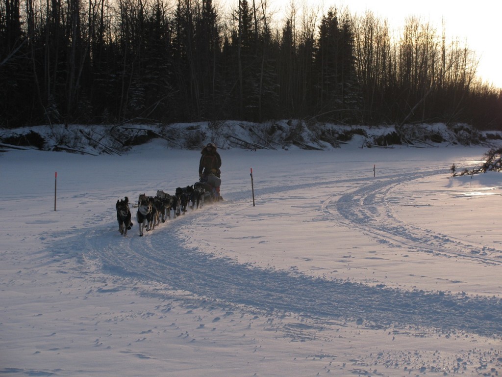 Iditarod Trail 